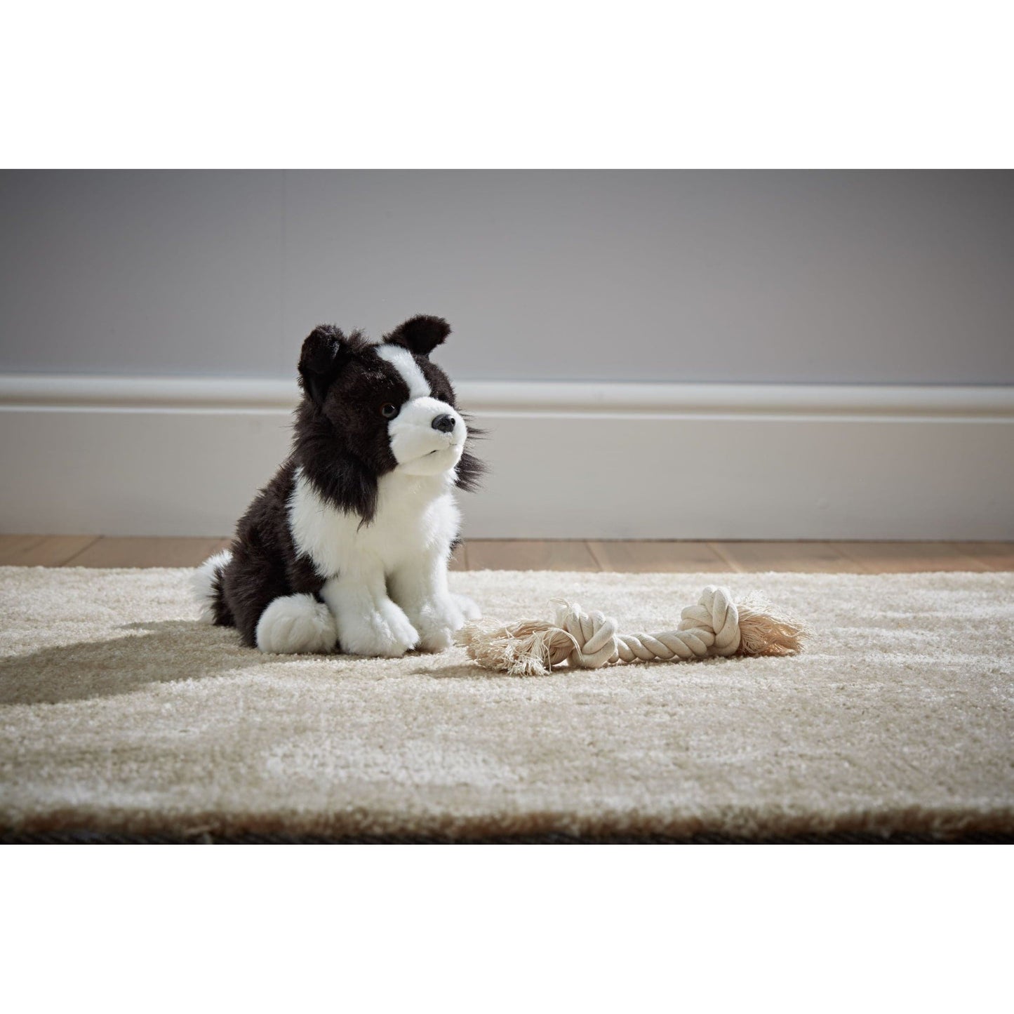 Treuer Collie Kuschelfreund