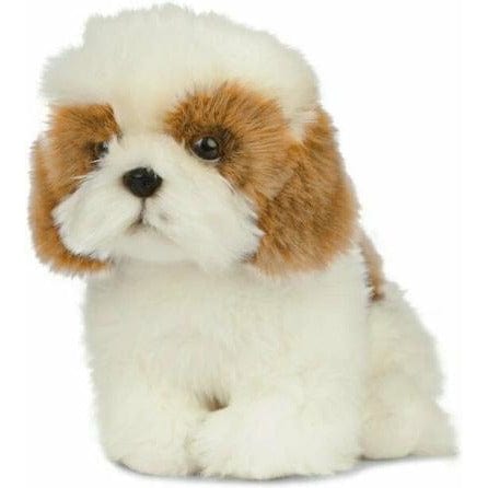 Shih Tzu Kuschelgefährte