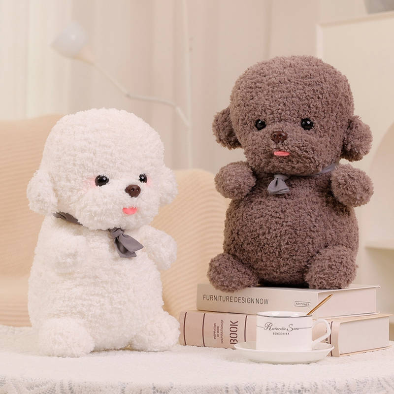 Flauschiger Bichon Frise