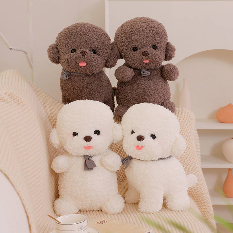 Flauschiger Bichon Frise
