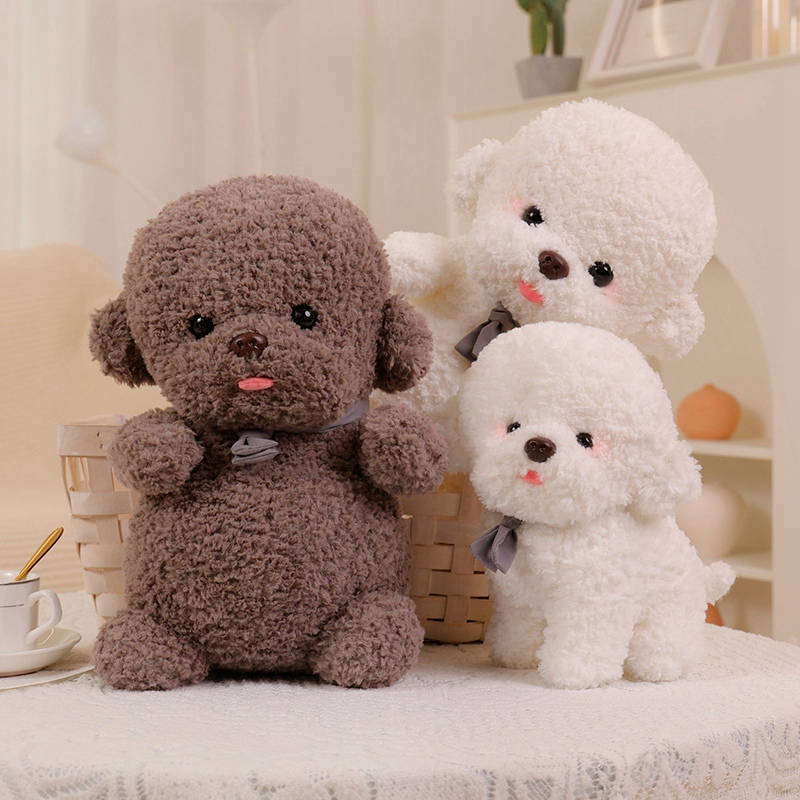 Flauschiger Bichon Frise