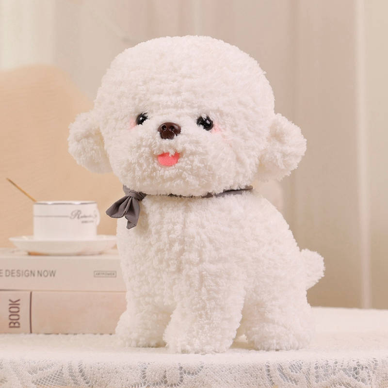 Flauschiger Bichon Frise