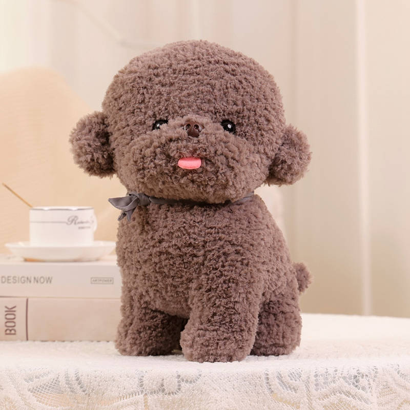 Flauschiger Bichon Frise