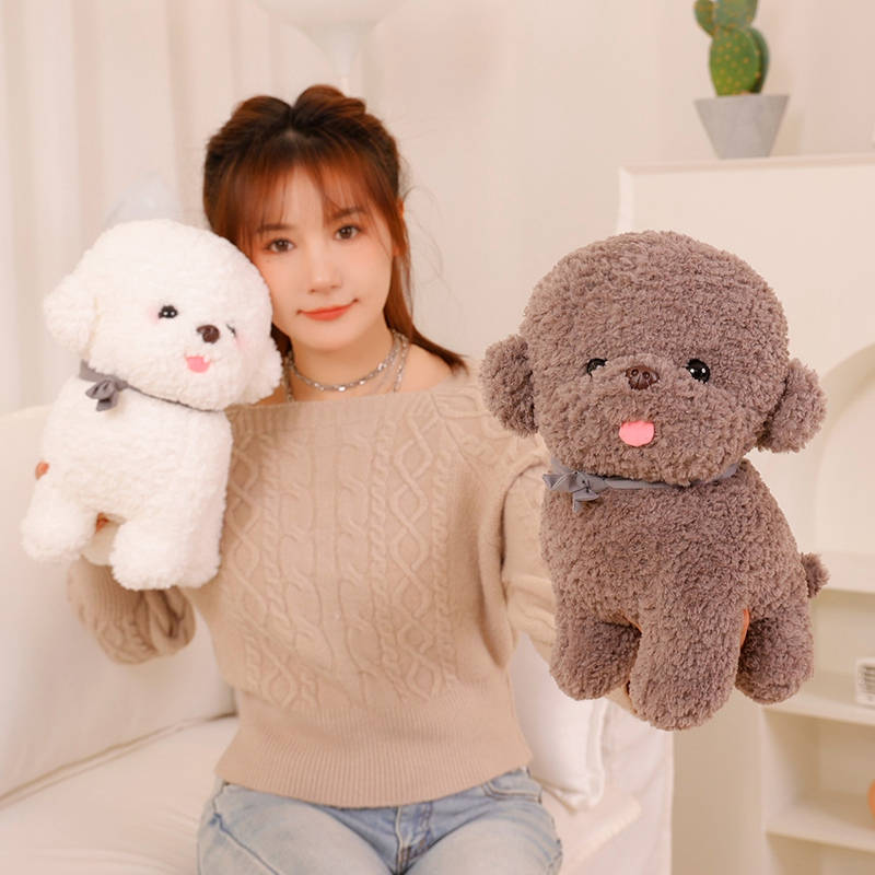 Flauschiger Bichon Frise