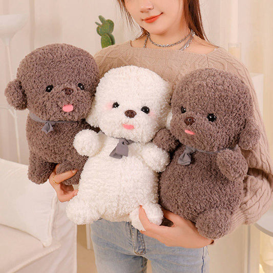 Flauschiger Bichon Frise