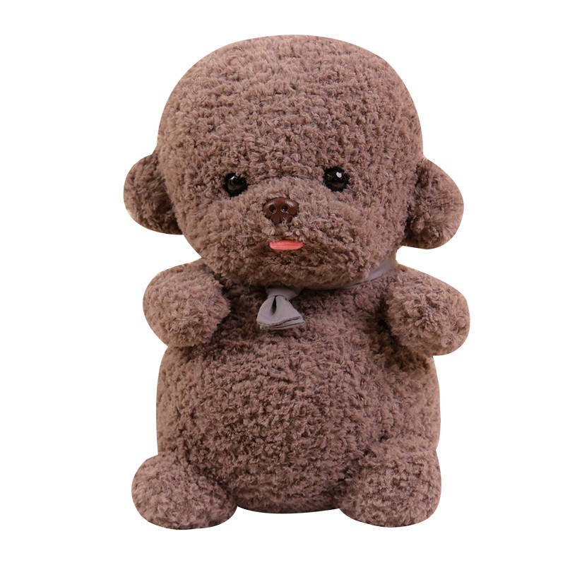 Flauschiger Bichon Frise