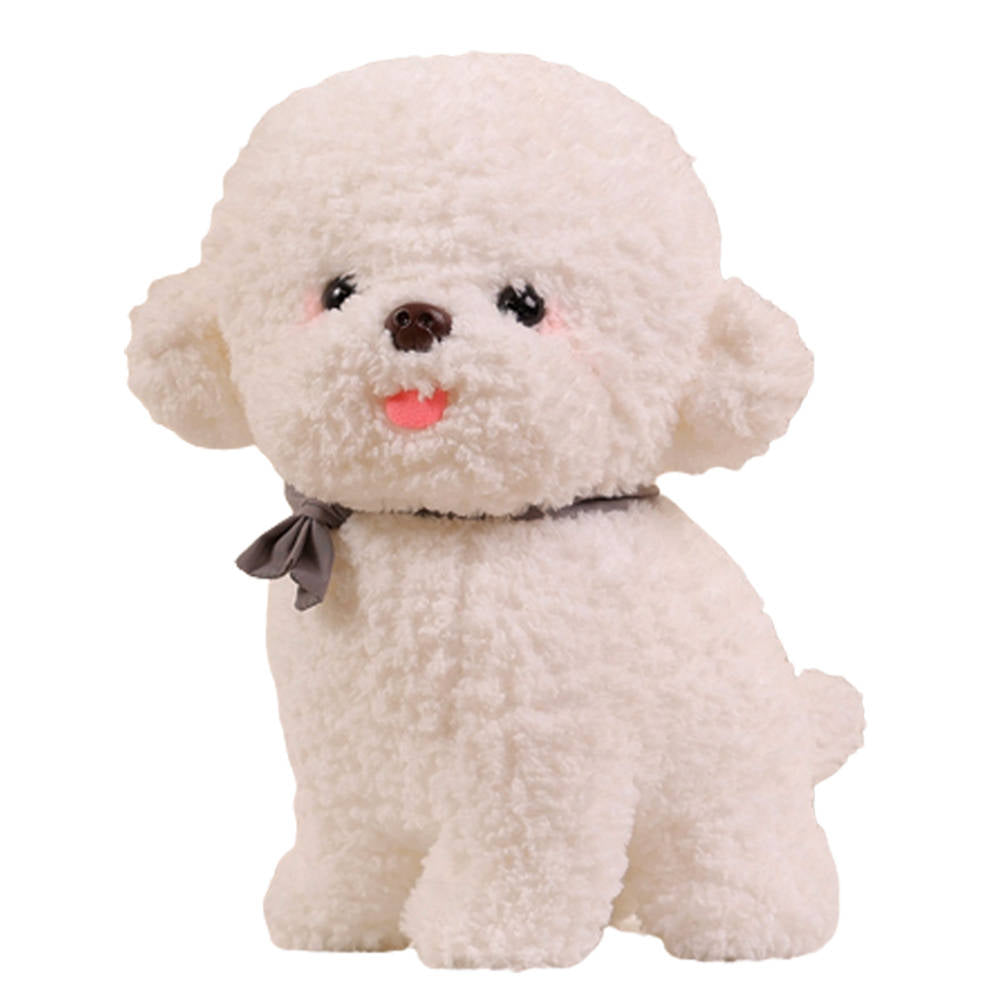 Flauschiger Bichon Frise