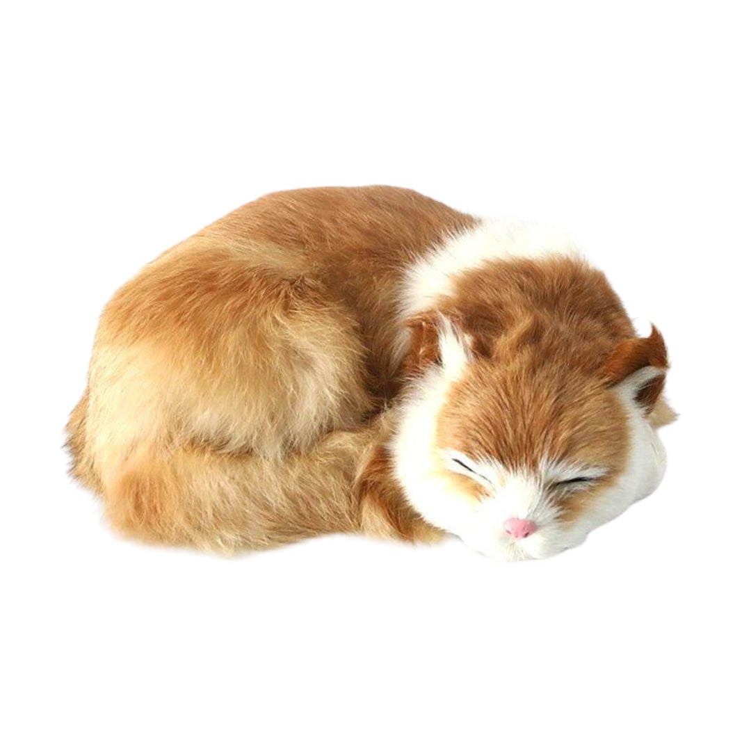 Hyperrealistische schlafende Katzenplüschpuppen