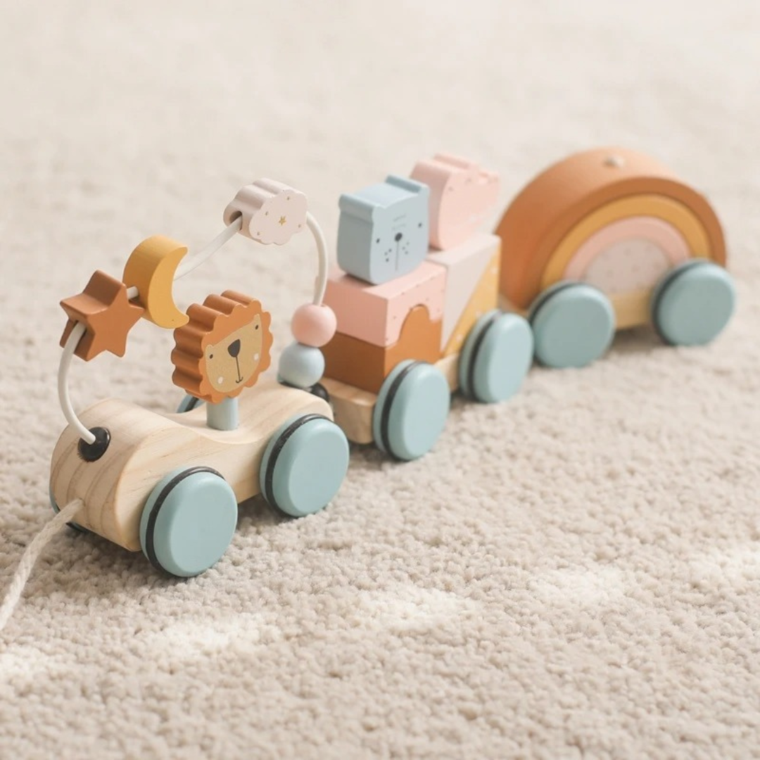 Montessori holz zug pastelfarben