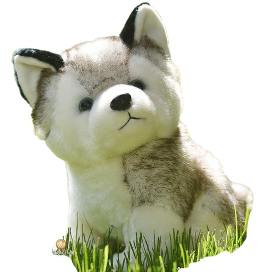 Husky Hund Plüsch