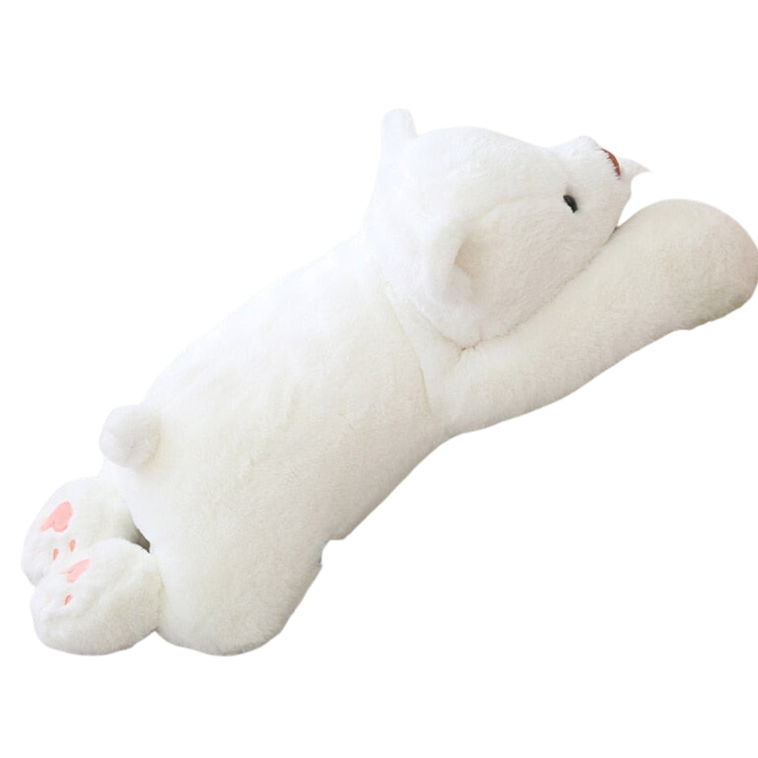 Bohne der Bär