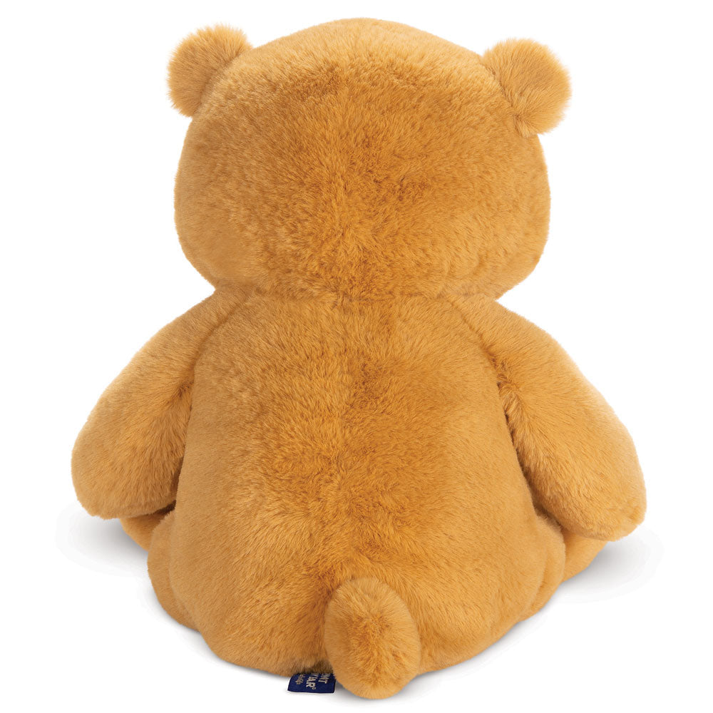 Hugsy der Teddybär