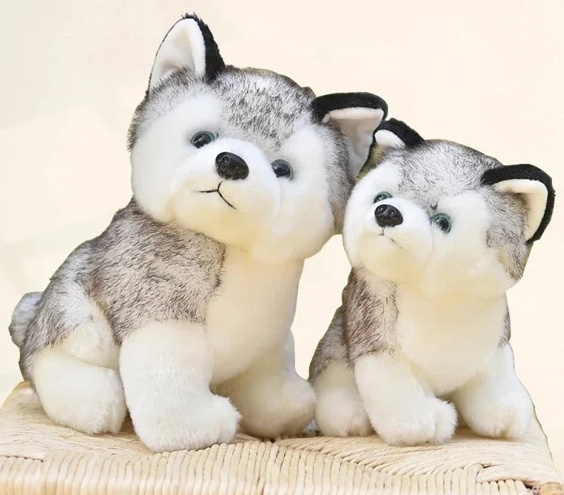 Kuscheliger Husky Welpe