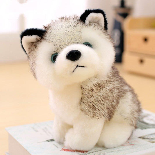 Kuscheliger Husky Welpe