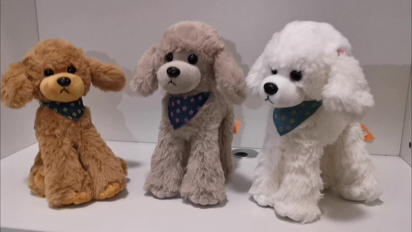 Hund - Teddybär