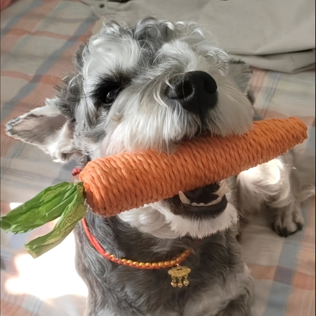 Lustige Karotten-Kauspielzeug für Haustiere