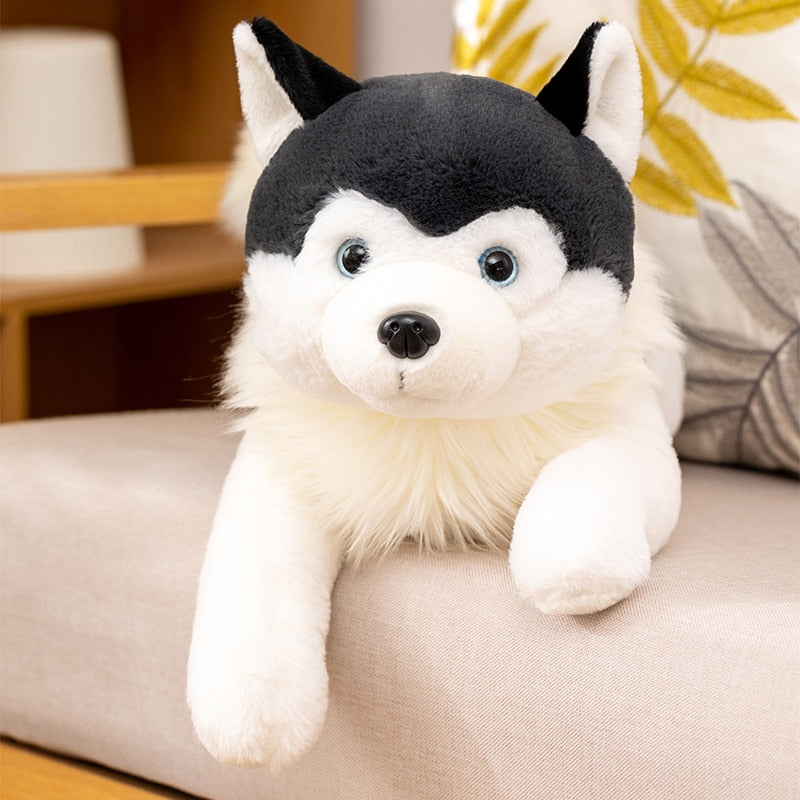 Spielfreudiger Husky Plüsch