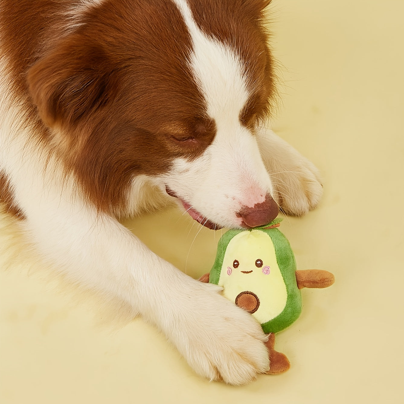 Avo - Plüsch-Hundespielzeug