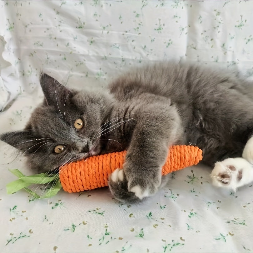 Lustige Karotten-Kauspielzeug für Haustiere