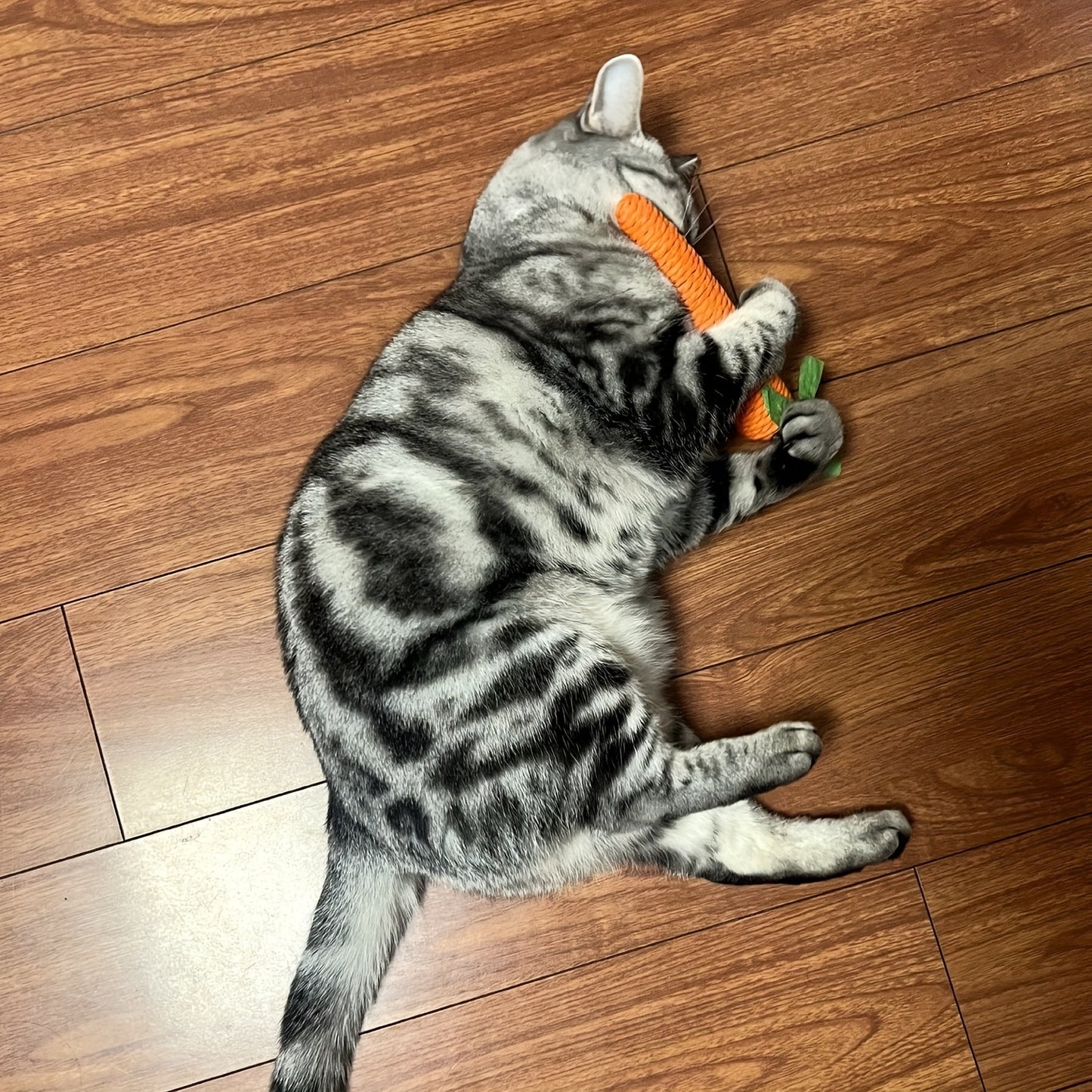 Lustige Karotten-Kauspielzeug für Haustiere