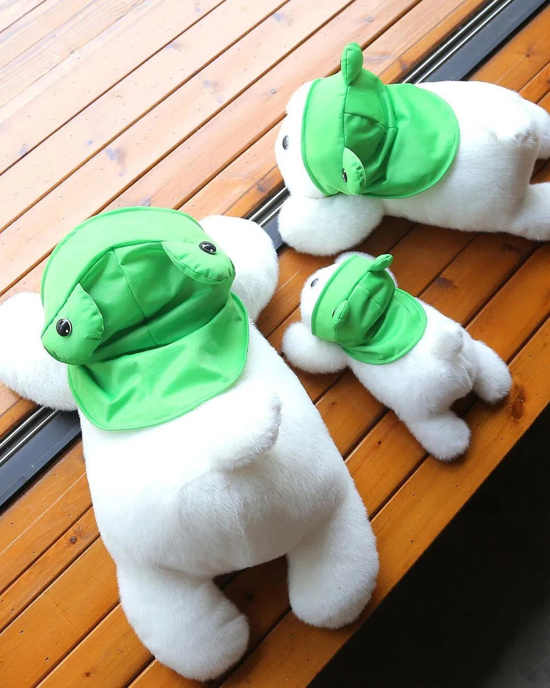 Süßer Froschhund – Plüschwelpe mit Froschmütze