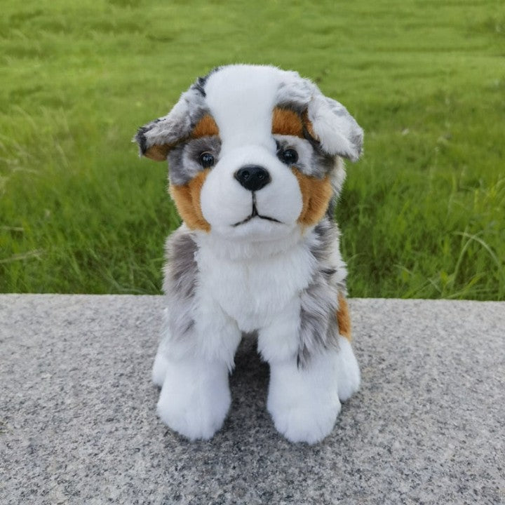 Kuscheliger Aussie Gefährte