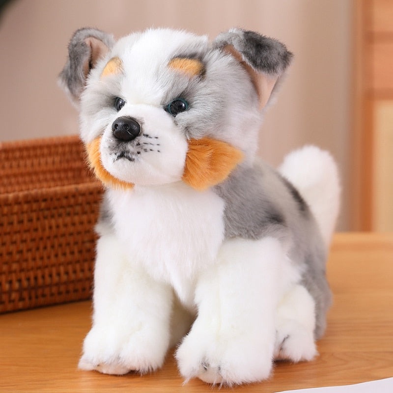 Kuschel-Freund - Australian Shepherd Plüsch