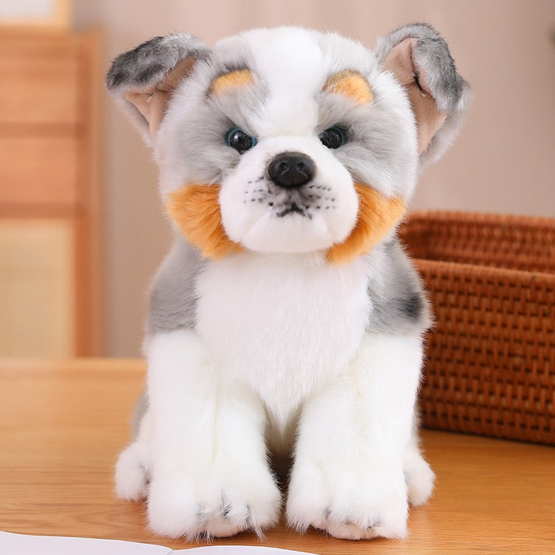 Kuschel-Freund - Australian Shepherd Plüsch