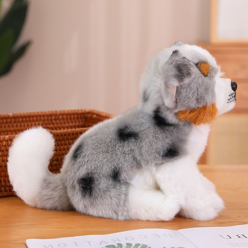 Kuschel-Freund - Australian Shepherd Plüsch
