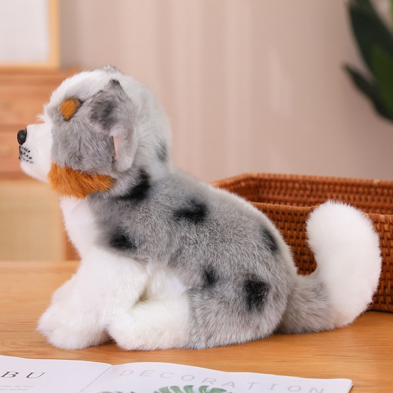 Kuschel-Freund - Australian Shepherd Plüsch