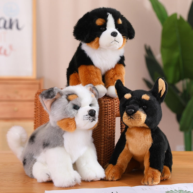 Kuschel-Freund - Australian Shepherd Plüsch