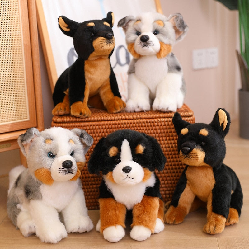 Kuschel-Freund - Australian Shepherd Plüsch