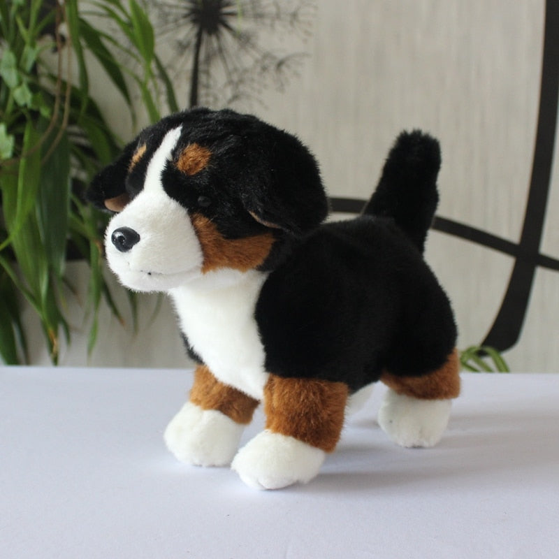 Treuer Berner Sennenhund