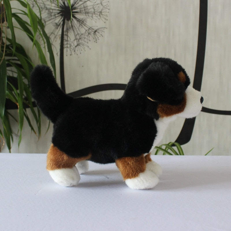 Treuer Berner Sennenhund