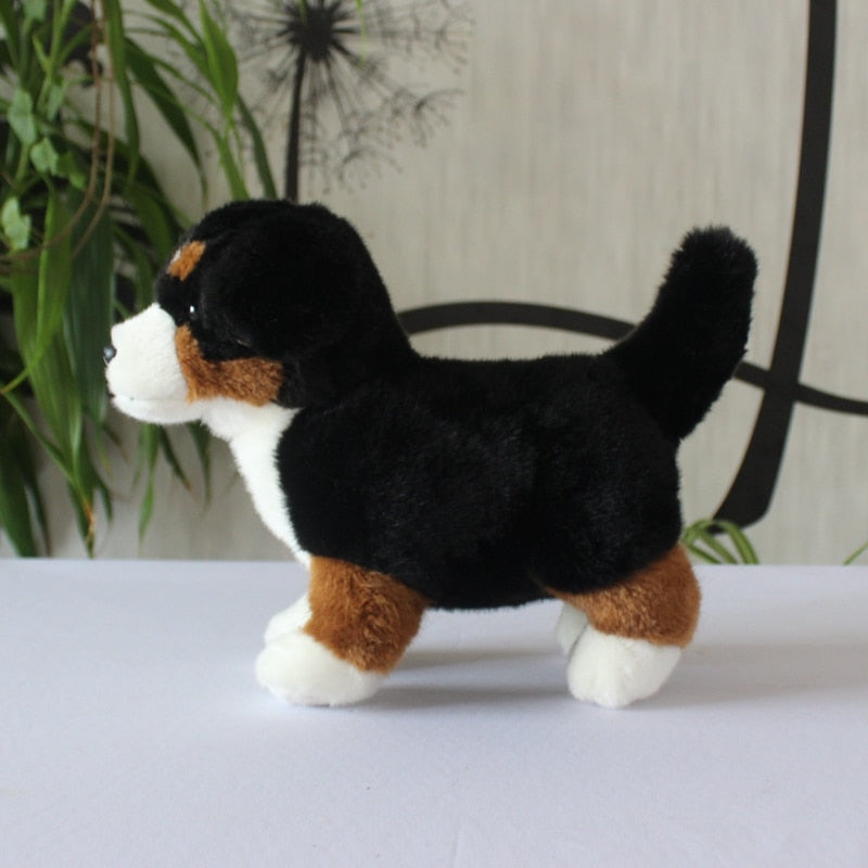 Treuer Berner Sennenhund