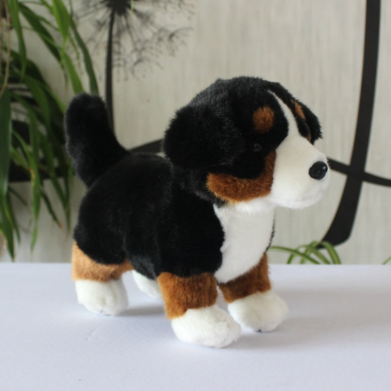 Treuer Berner Sennenhund