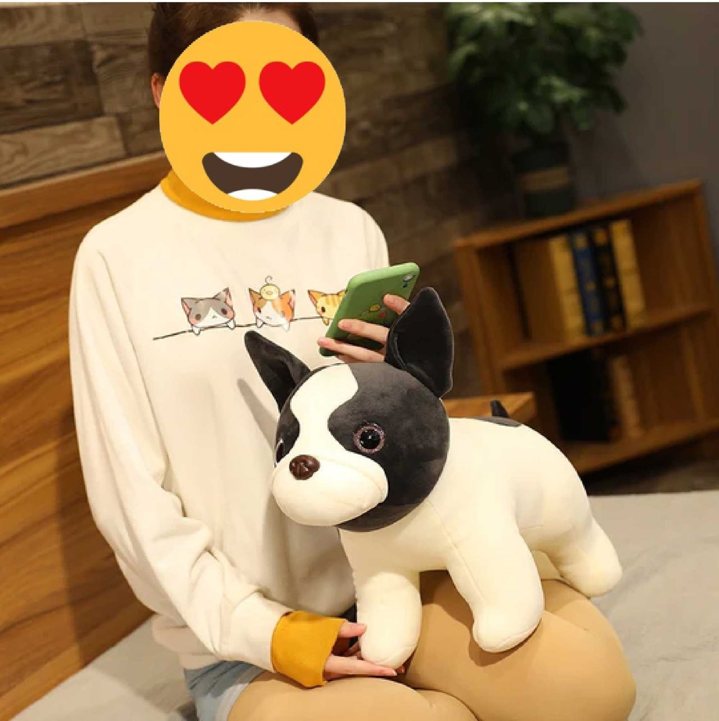 Treuer Blick Boston Terrier