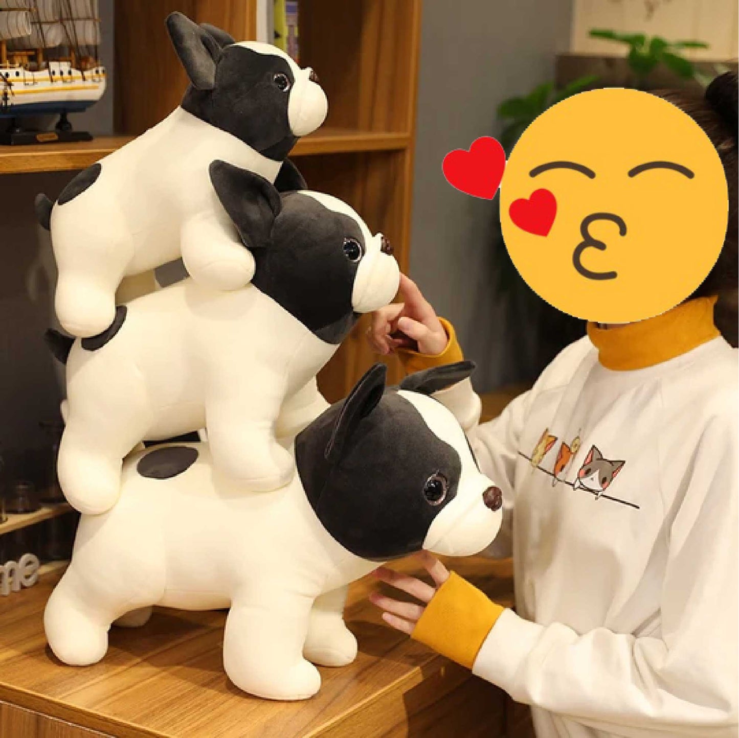 Treuer Blick Boston Terrier