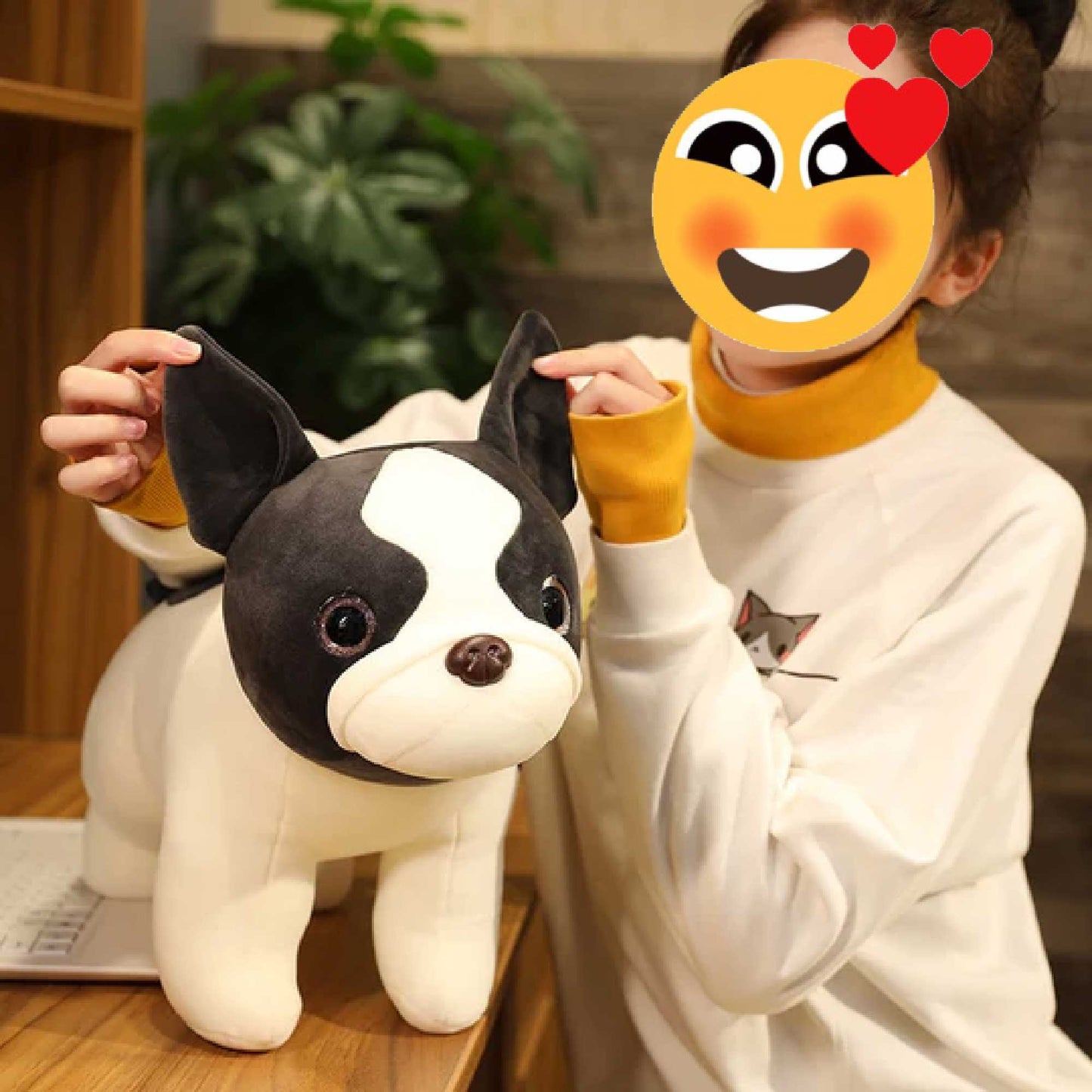 Treuer Blick Boston Terrier