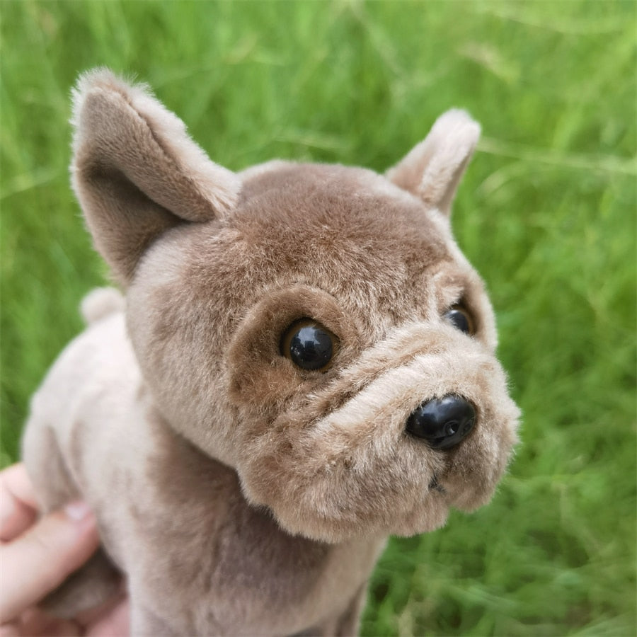 Treuer Gefährte Pitbull