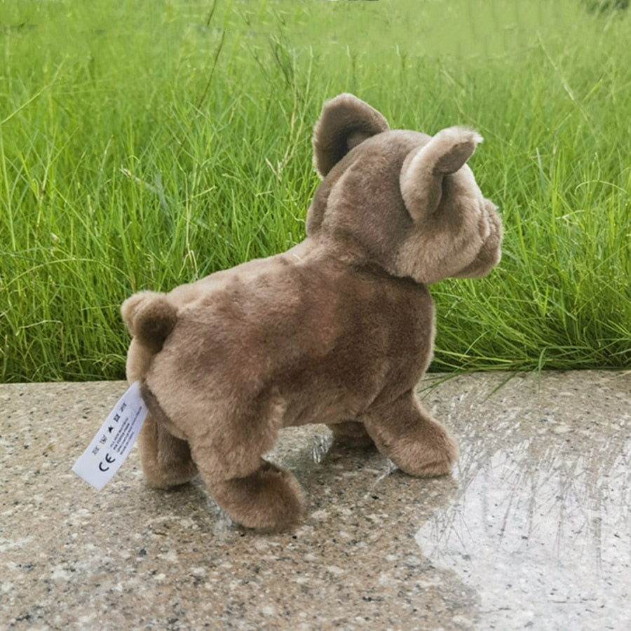 Treuer Gefährte Pitbull