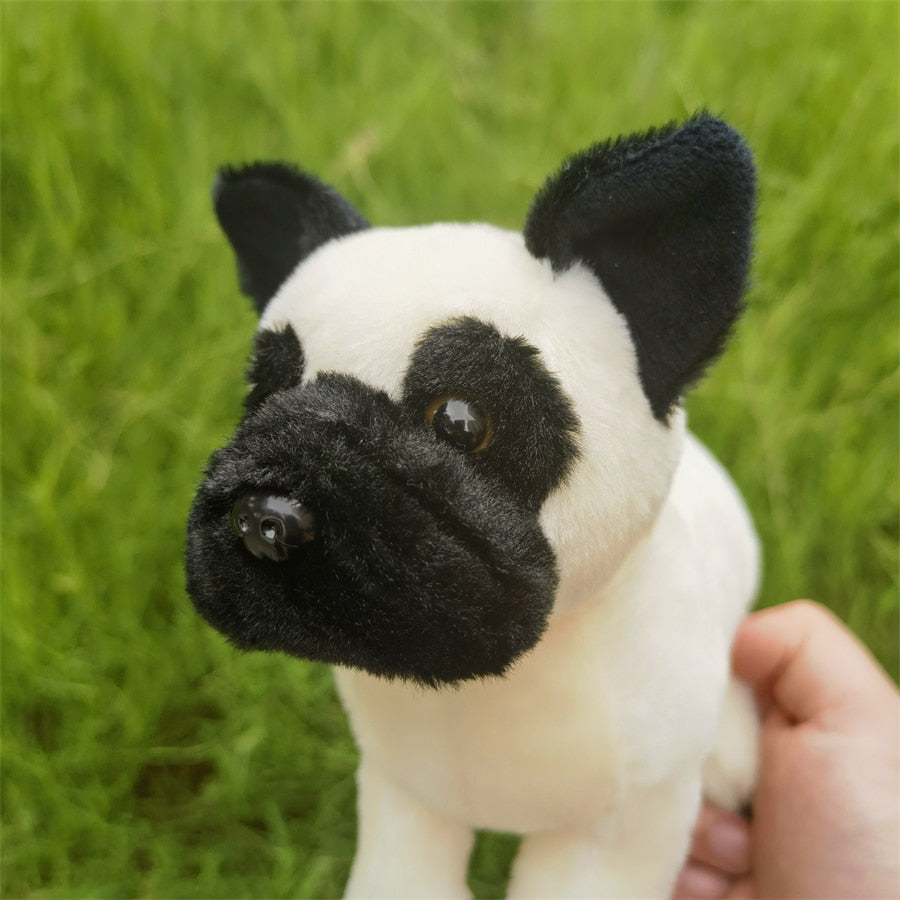 Treuer Mops Kuschelfreund