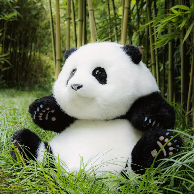 Kuscheltier Panda Plüsch als Liebesgeschenk