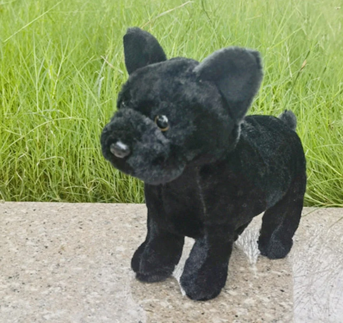 Treuer Mops Kuschelfreund
