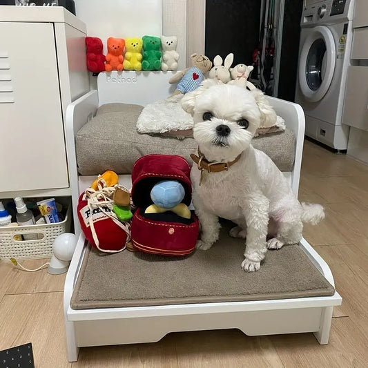Diamantring-Set und interaktives Hundespielzeug