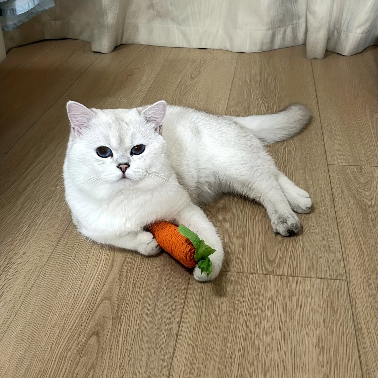 Lustige Karotten-Kauspielzeug für Haustiere