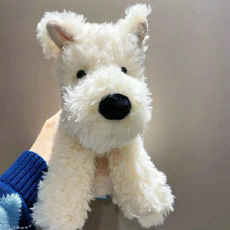 Schottischer Kuschelterrier