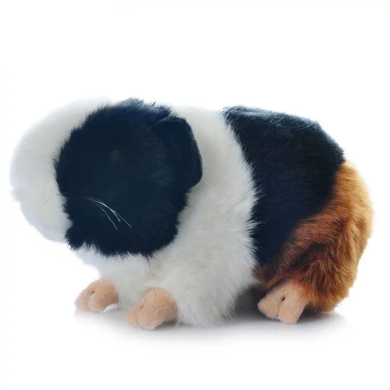 Flauschiges Meerschweinchen