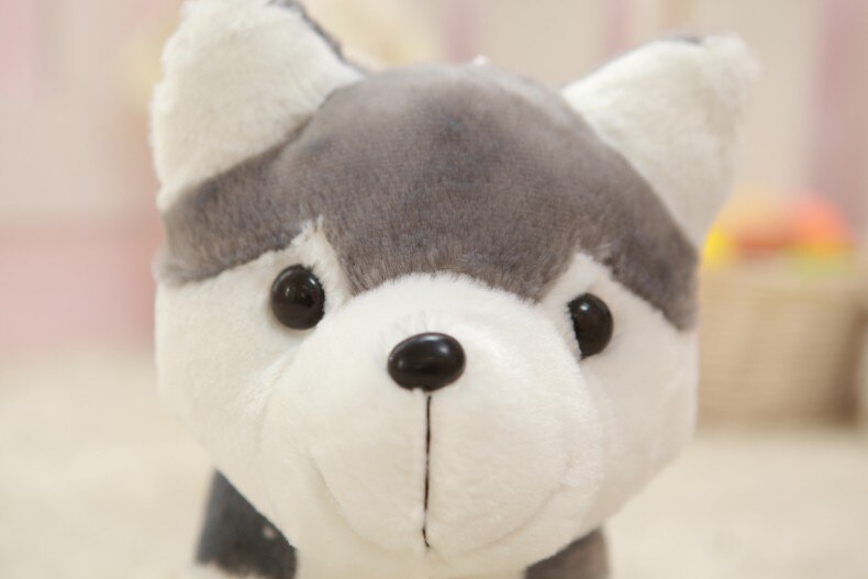 Klingelnder Husky Welpe