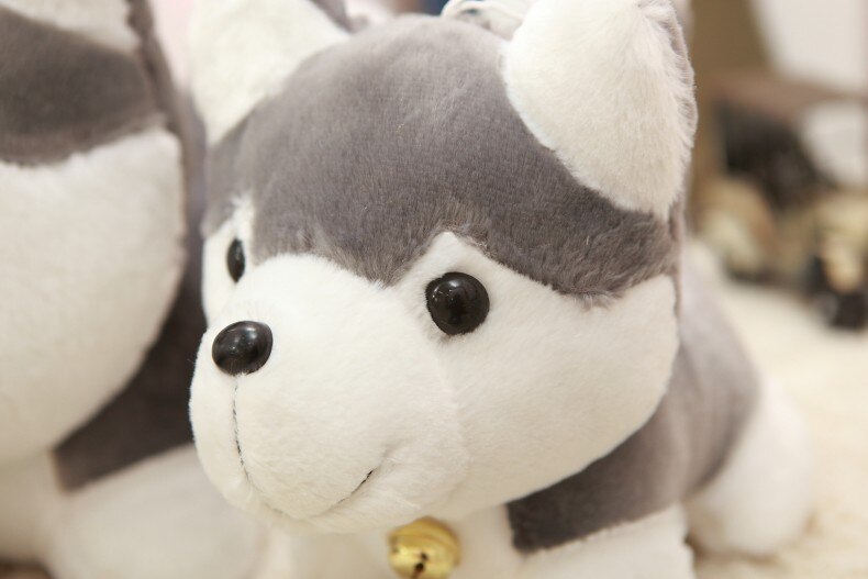 Klingelnder Husky Welpe